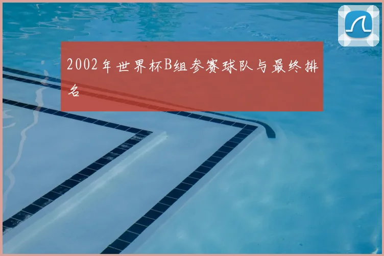 2002年世界杯B组参赛球队与最终排名