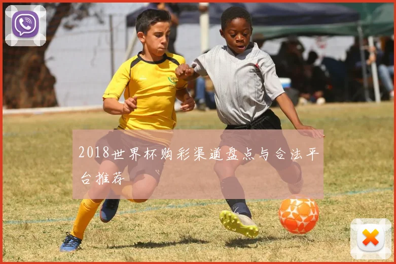 2018世界杯购彩渠道盘点与合法平台推荐