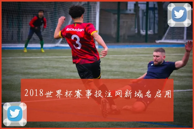 2018世界杯赛事投注网新域名启用