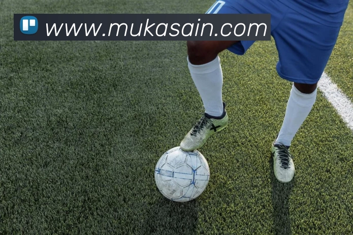 App Interface Preview